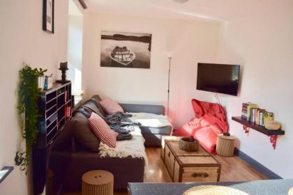 Charming 1 Bedroom Apartment Heart Of Dublin - image 1