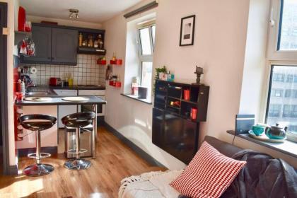 Charming 1 Bedroom Apartment Heart Of Dublin - image 13