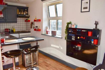 Charming 1 Bedroom Apartment Heart Of Dublin - image 7
