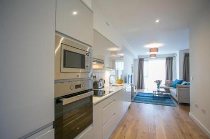 Grand Canal Square Apartments - image 12