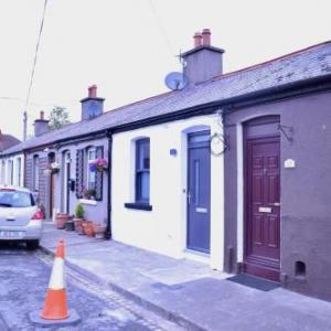Modern 1 Bed 1 Bath in Central Dublin Location