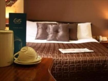 Dublin Citi Hotel - image 8