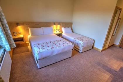 The Lucan Spa Hotel - image 16