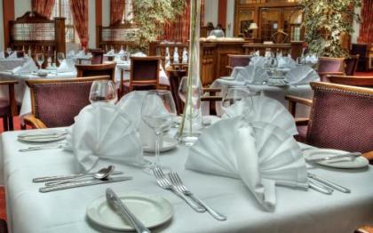 The Lucan Spa Hotel - image 8