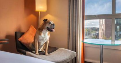 Hilton Dublin - image 9