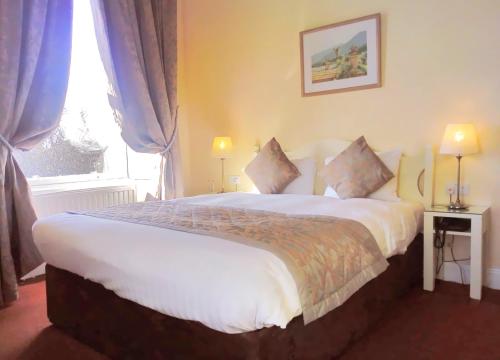 Morehampton Townhouse - image 3