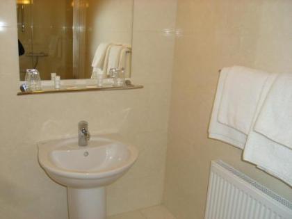 Phoenix Park Hotel - image 12