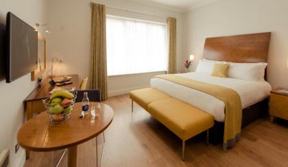 PREMIER SUITES Dublin Leeson Street - image 1