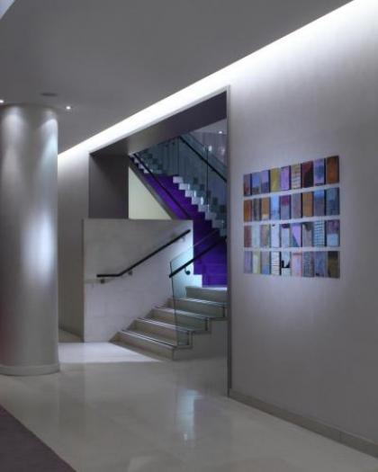 The Morrison Dublin Curio Collection by Hilton - image 5