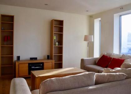 2 Bedroom Flat in Dublin 1 - image 4