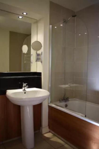 2 Bedroom Flat in Dublin 1 - image 6