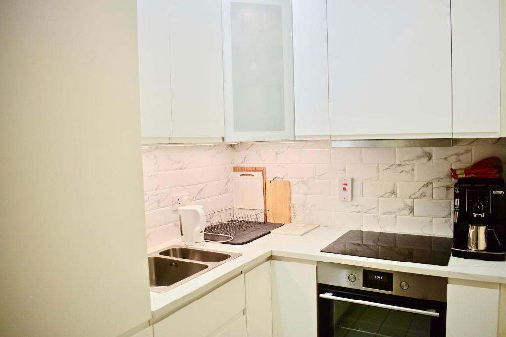 Airy 1 Bedroom Apartment in Central Dublin - image 3