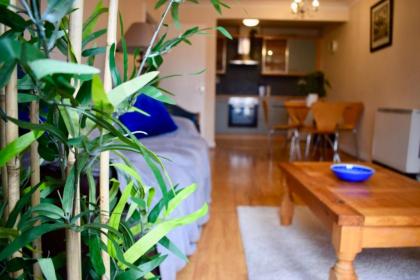 2 Bedroom Apartment Beside Merrion Square - image 15
