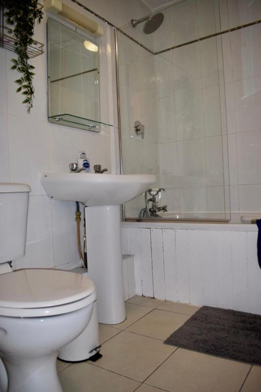 2 Bedroom Apartment Beside Merrion Square - image 5