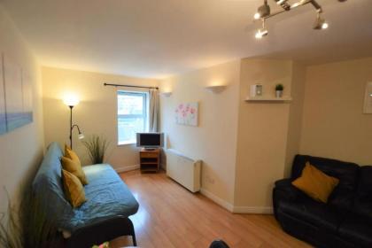 Great 2 Bedroom Apartment in Trendy Stoneybatter - image 1