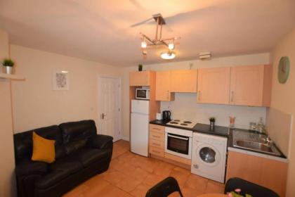 Great 2 Bedroom Apartment in Trendy Stoneybatter - image 14