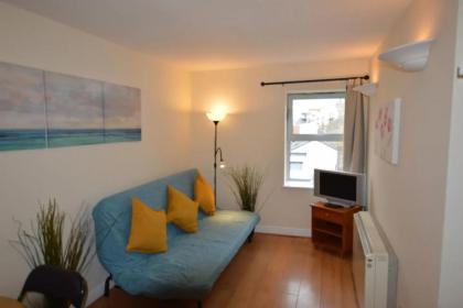 Great 2 Bedroom Apartment in Trendy Stoneybatter - image 16