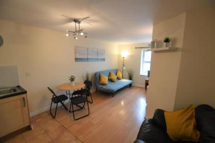 Great 2 Bedroom Apartment in Trendy Stoneybatter - image 3