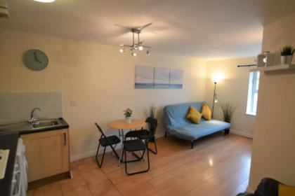 Great 2 Bedroom Apartment in Trendy Stoneybatter - image 9