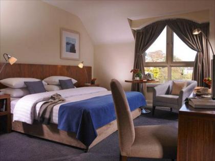 Castleknock Hotel - image 2
