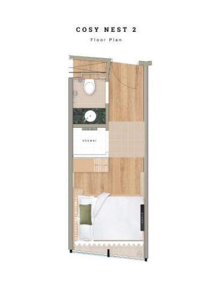 Wren - image 4