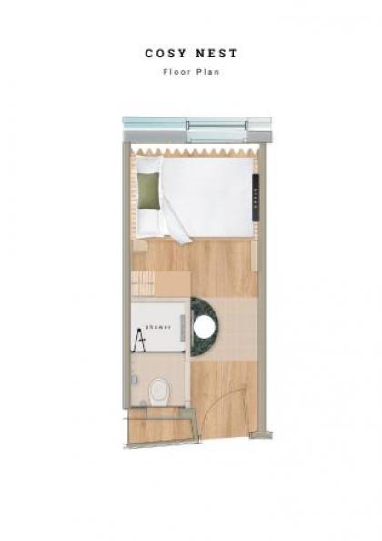 Wren - image 5