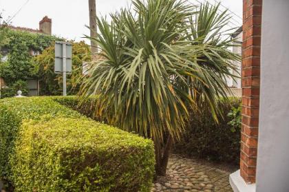 Rugby Lodge 3 Bedrooms Dublin - image 2