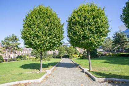 Pearse Street Gardens - image 15