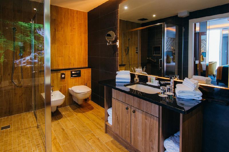 Iveagh Garden Hotel - image 2
