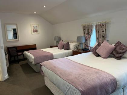 Leixlip Manor Hotel - image 21