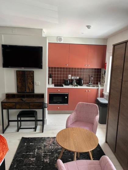 Merrion Square Studios - image 21