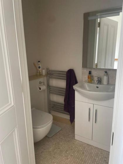 Charming 3BD house in Dublin - image 15